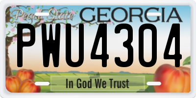 GA license plate PWU4304