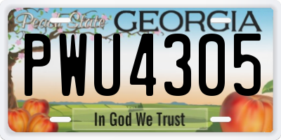 GA license plate PWU4305