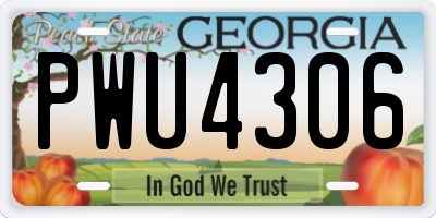 GA license plate PWU4306