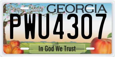 GA license plate PWU4307