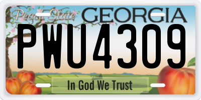 GA license plate PWU4309