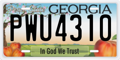 GA license plate PWU4310