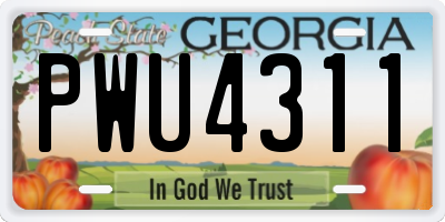 GA license plate PWU4311
