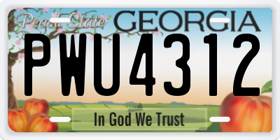 GA license plate PWU4312