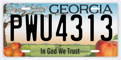 GA license plate PWU4313