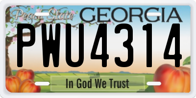 GA license plate PWU4314