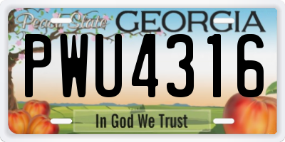 GA license plate PWU4316