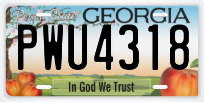 GA license plate PWU4318