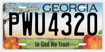GA license plate PWU4320