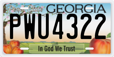 GA license plate PWU4322