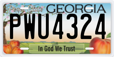 GA license plate PWU4324