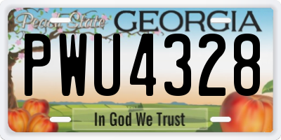 GA license plate PWU4328