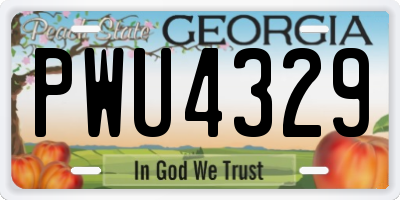 GA license plate PWU4329