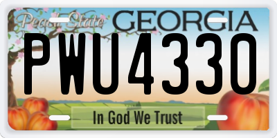 GA license plate PWU4330