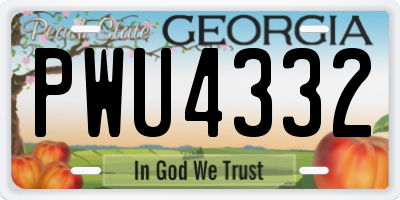 GA license plate PWU4332