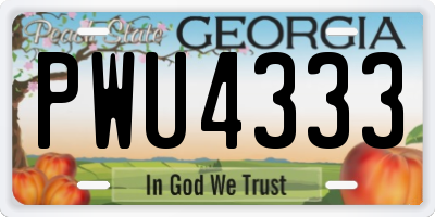 GA license plate PWU4333