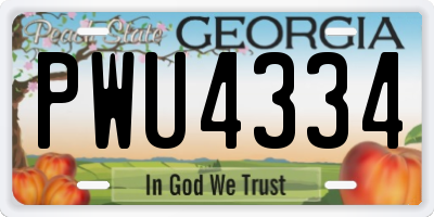 GA license plate PWU4334