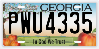 GA license plate PWU4335