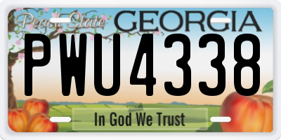 GA license plate PWU4338