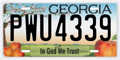 GA license plate PWU4339