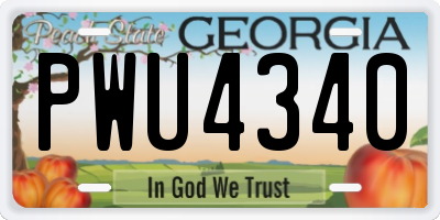GA license plate PWU4340