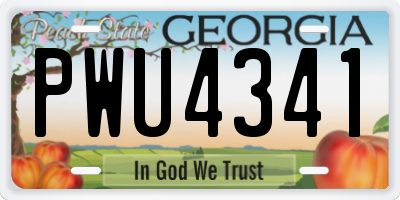 GA license plate PWU4341