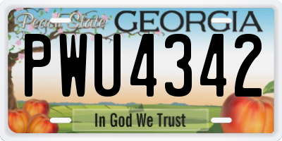 GA license plate PWU4342