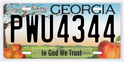 GA license plate PWU4344