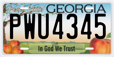 GA license plate PWU4345