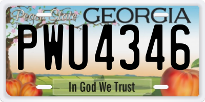 GA license plate PWU4346