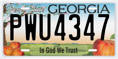 GA license plate PWU4347