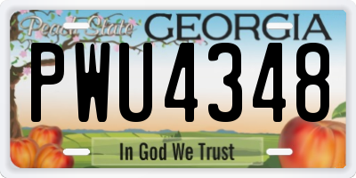 GA license plate PWU4348