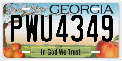 GA license plate PWU4349