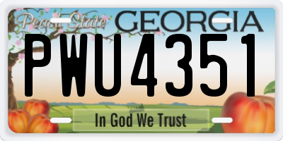 GA license plate PWU4351