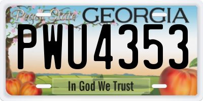 GA license plate PWU4353