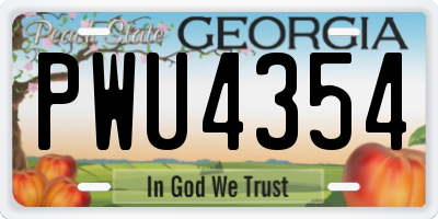 GA license plate PWU4354