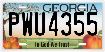 GA license plate PWU4355