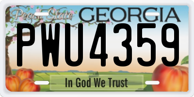 GA license plate PWU4359