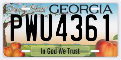 GA license plate PWU4361