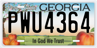 GA license plate PWU4364