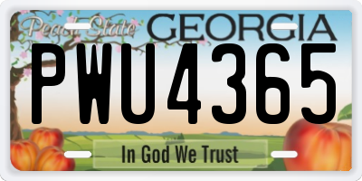 GA license plate PWU4365