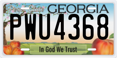 GA license plate PWU4368