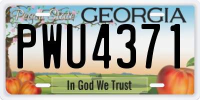GA license plate PWU4371