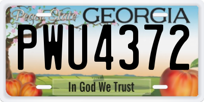 GA license plate PWU4372