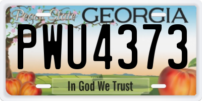 GA license plate PWU4373