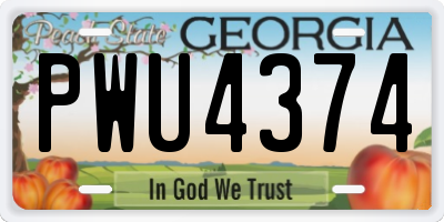 GA license plate PWU4374