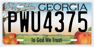 GA license plate PWU4375