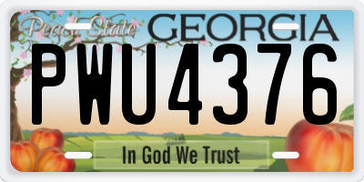 GA license plate PWU4376