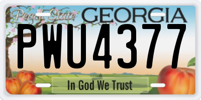GA license plate PWU4377