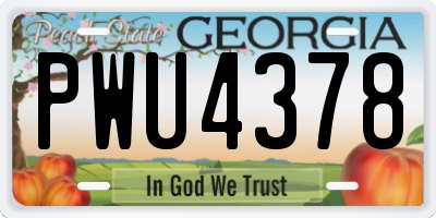 GA license plate PWU4378